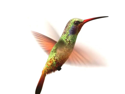 Vibrant green hummingbird with an iridescent body and bright red beak hovering in mid-air, wings blurred from rapid movement, set against a plain white background.