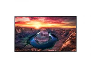 43 Zoll 4K UHD Signage Display - Samsung QM43B-T mieten